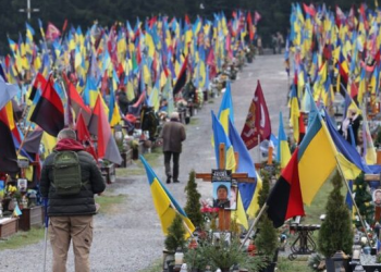 На конкурс Меморіального комплексу військових поховань Героїв України подали майже 30 проєктів