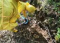 У лісосмузі Львова під час прогулянки чоловік виявив 20 кг ртуті