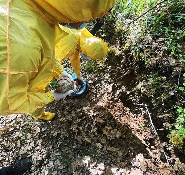 У лісосмузі Львова під час прогулянки чоловік виявив 20 кг ртуті