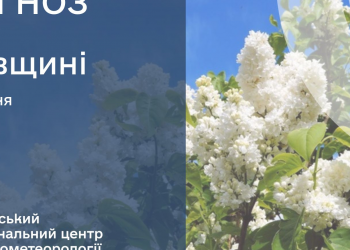 У Львові буде хмарно та до +19 градусів