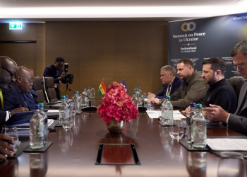 Зеленський провів зустріч із президентом Гани